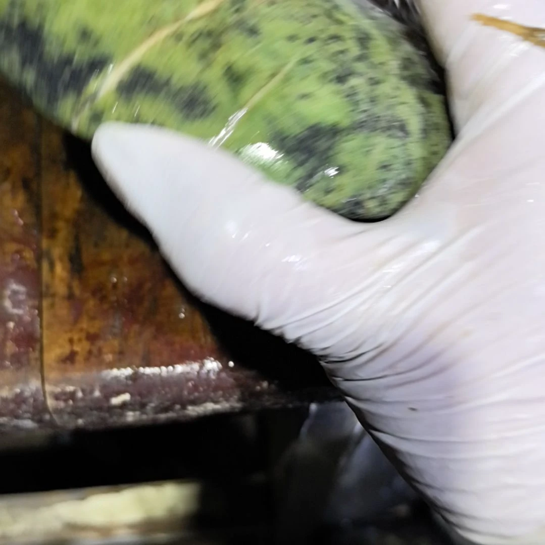 追****藏玉药王石原石一个