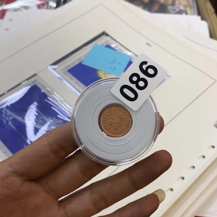 普通金属币哦哦哦哦哦