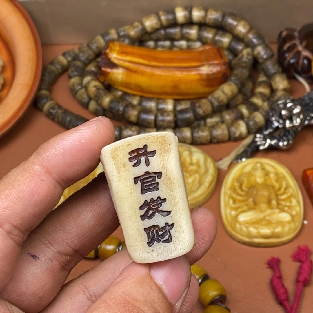 其他驼骨人工样子