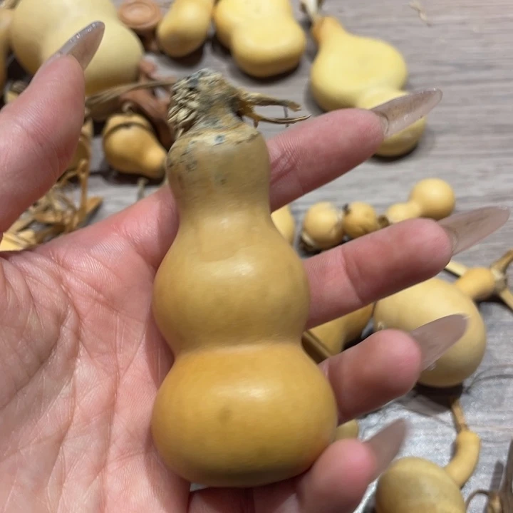 逐*葫芦葫芦葫芦葫芦