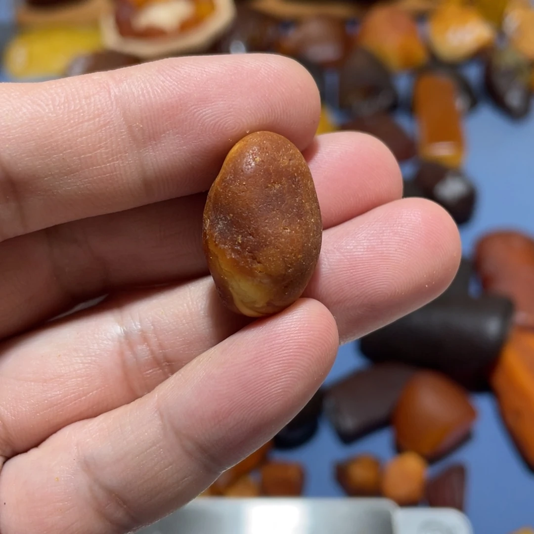 定制琥珀未镶嵌走****壳波罗的海琥珀蜜蜡