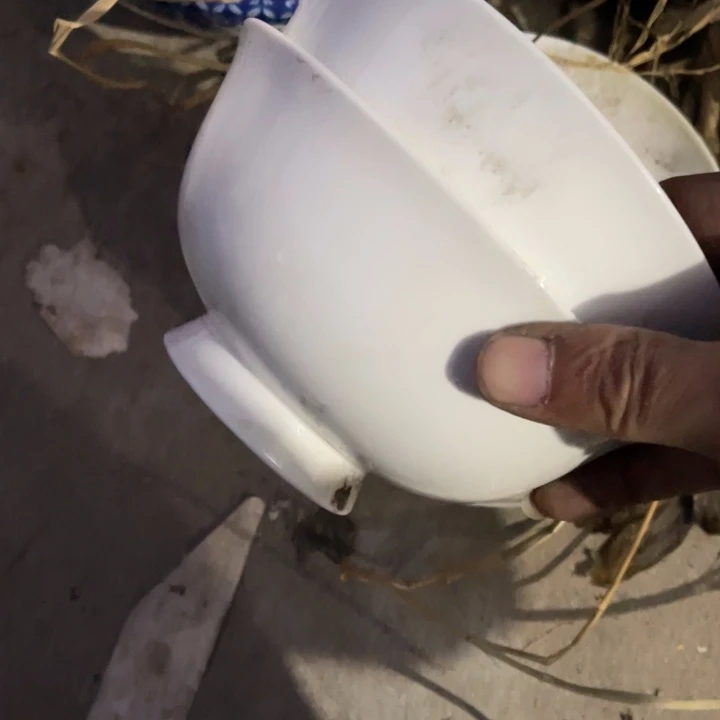 用***2其他瓷高足骨瓷碗两个