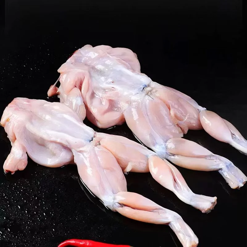 【精品】新鲜牛蛙 （要处理可备注）