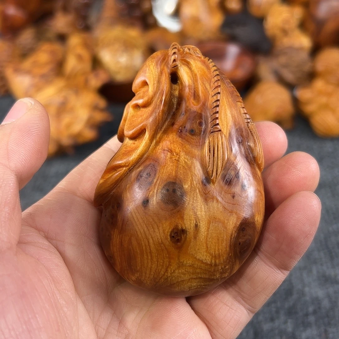 龙***景崖柏太行崖柏瘤花钱袋