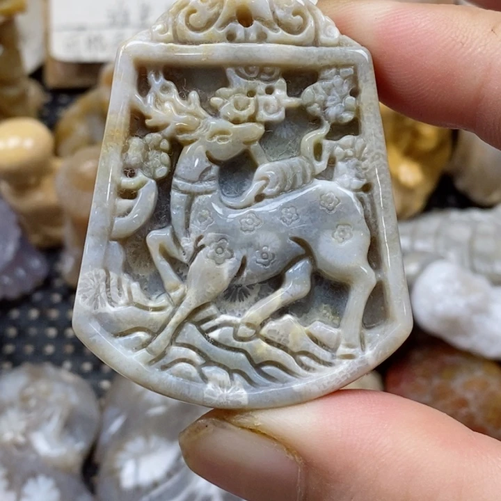颈饰未镶嵌硅化珊瑚（珊瑚玉）