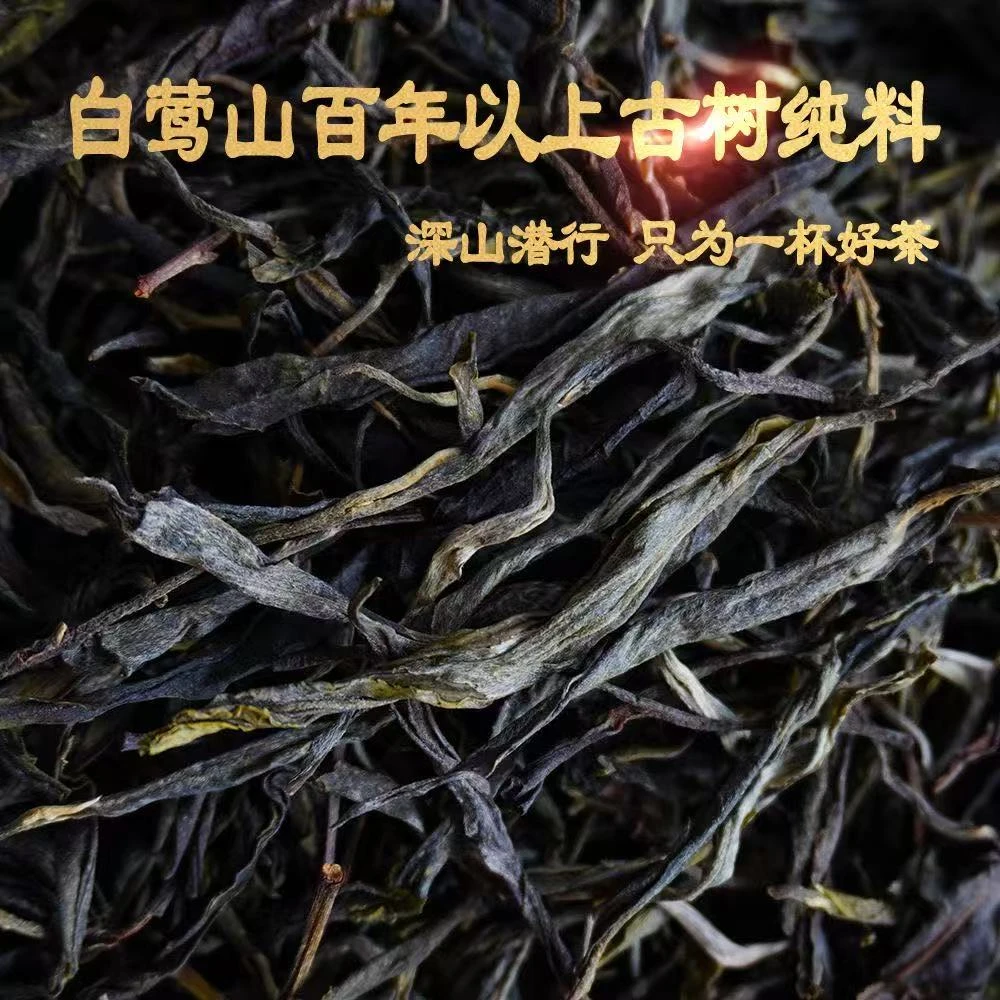 【哆依树】2025年云南普洱茶哆依树头春生茶100g