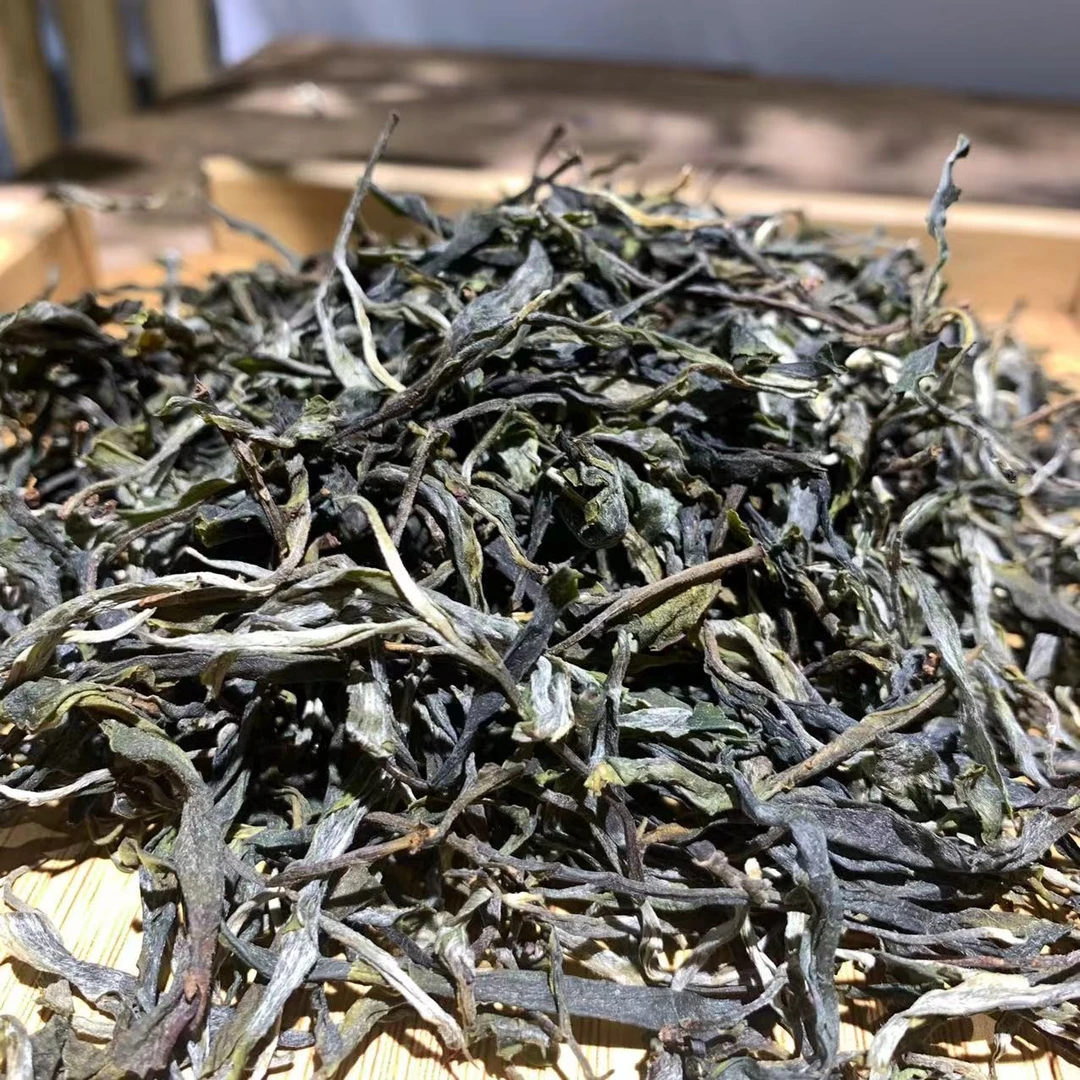 邦东古树春茶2025年