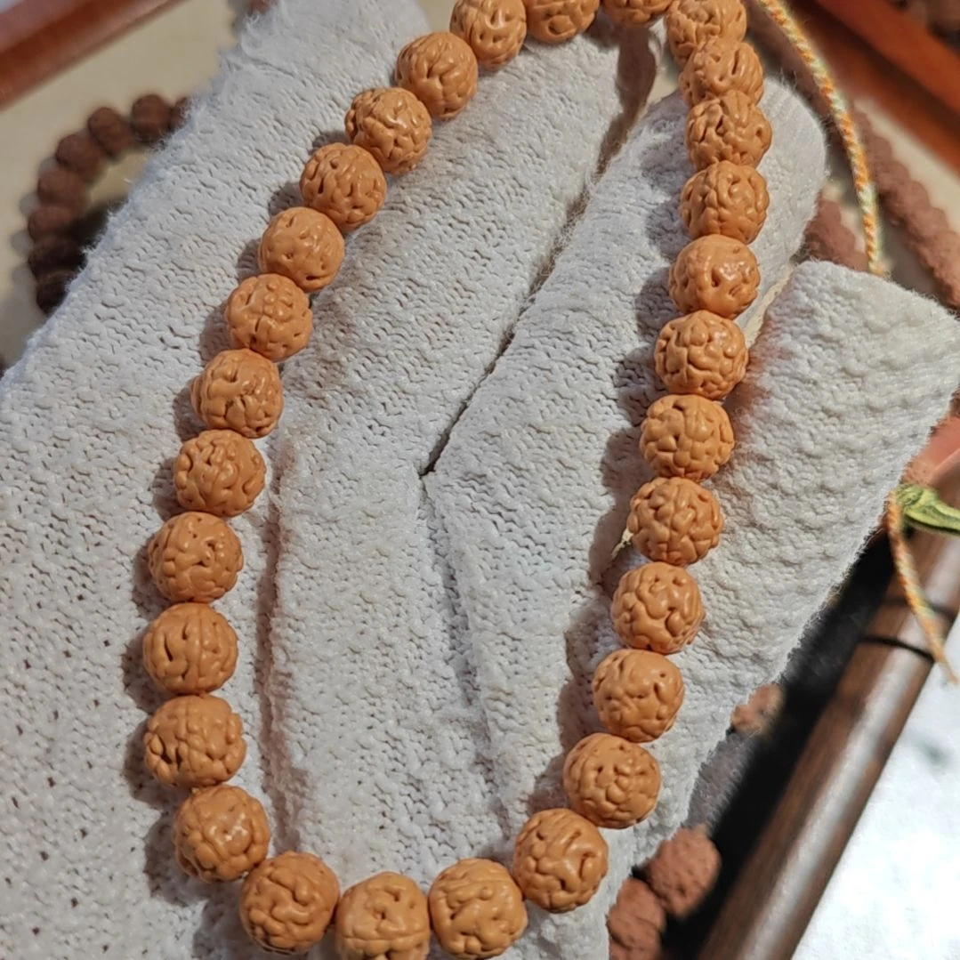 金刚菩提手串劉**℡蛤蟆背10