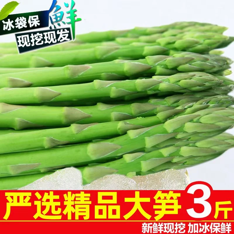 2025大棚种植芦笋现摘新鲜芦笋当季时令蔬菜河南产地直发芦笋新鲜