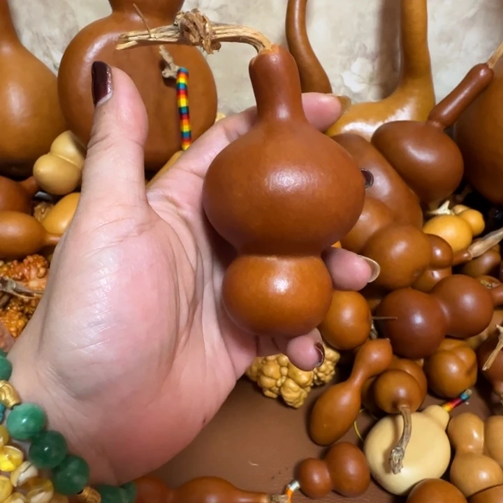 M***月精品课程等课程体系和专业