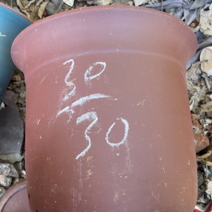紫砂花盆紫砂的花