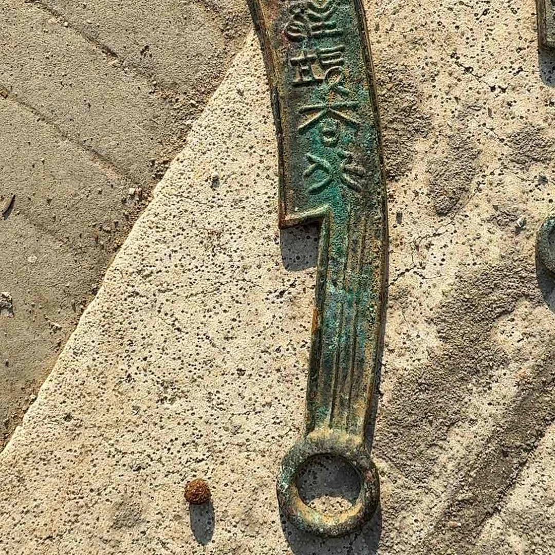 平***珍木6777679797949499494949