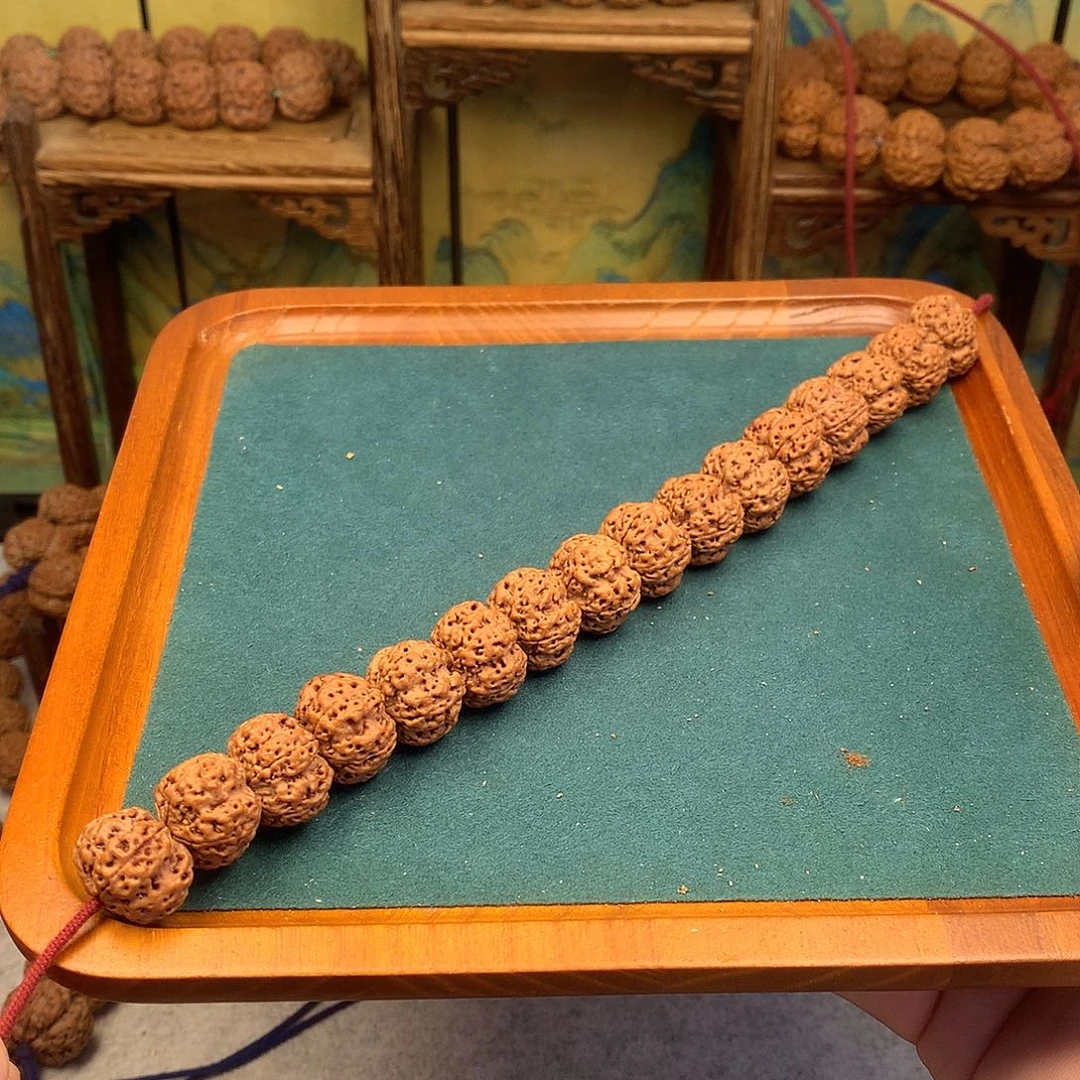 手串金刚菩提1、19mm纽扣梅花红皮头货