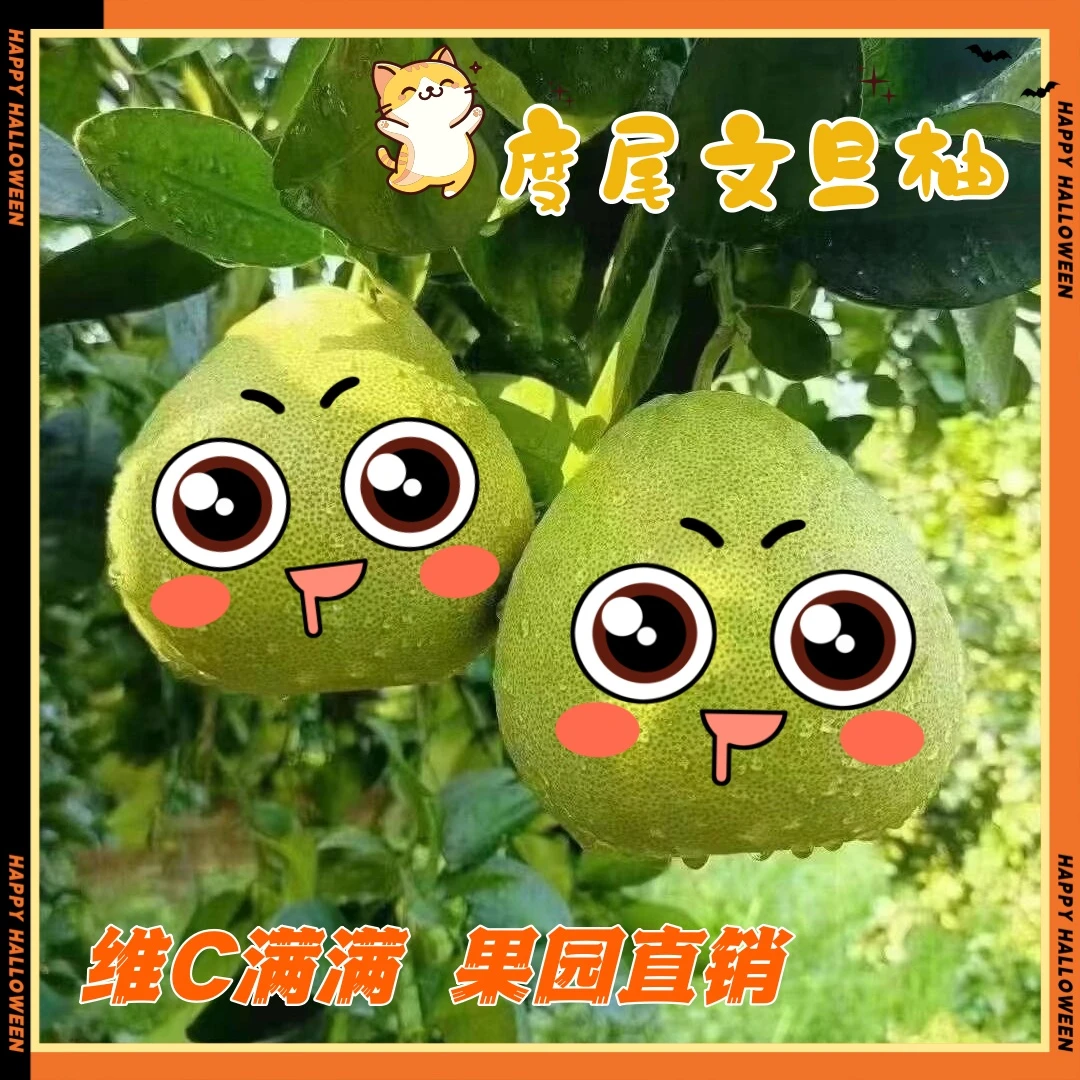【福建仙游度尾文旦柚】老树当季时令新鲜水果孕妇发蜜柚多汁