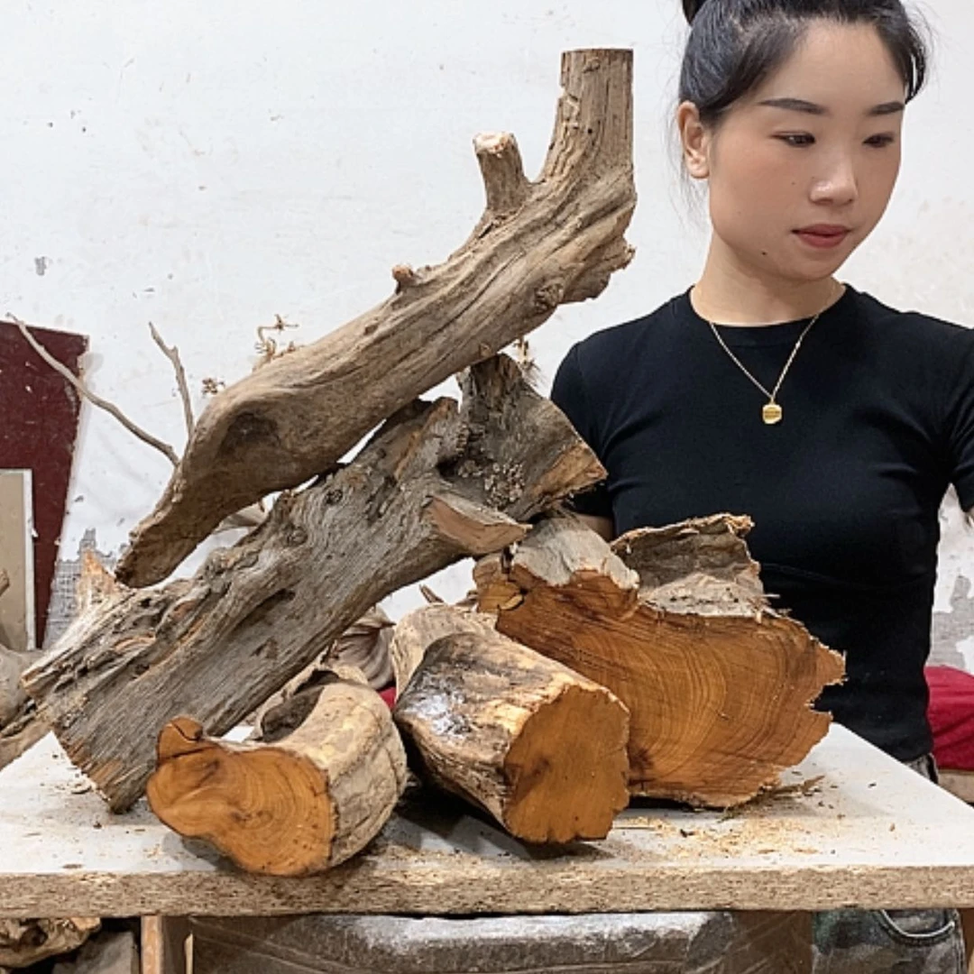【闪购商品】柏木清**尘我们都是好孩子