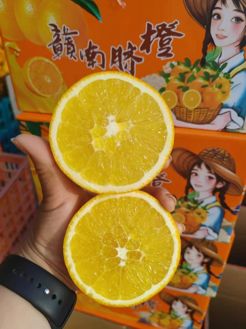 赣南脐橙新鲜采摘发货