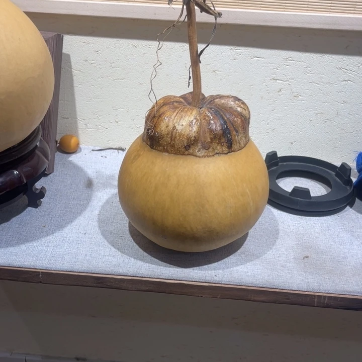 金***子仿木不包邮不保龙头