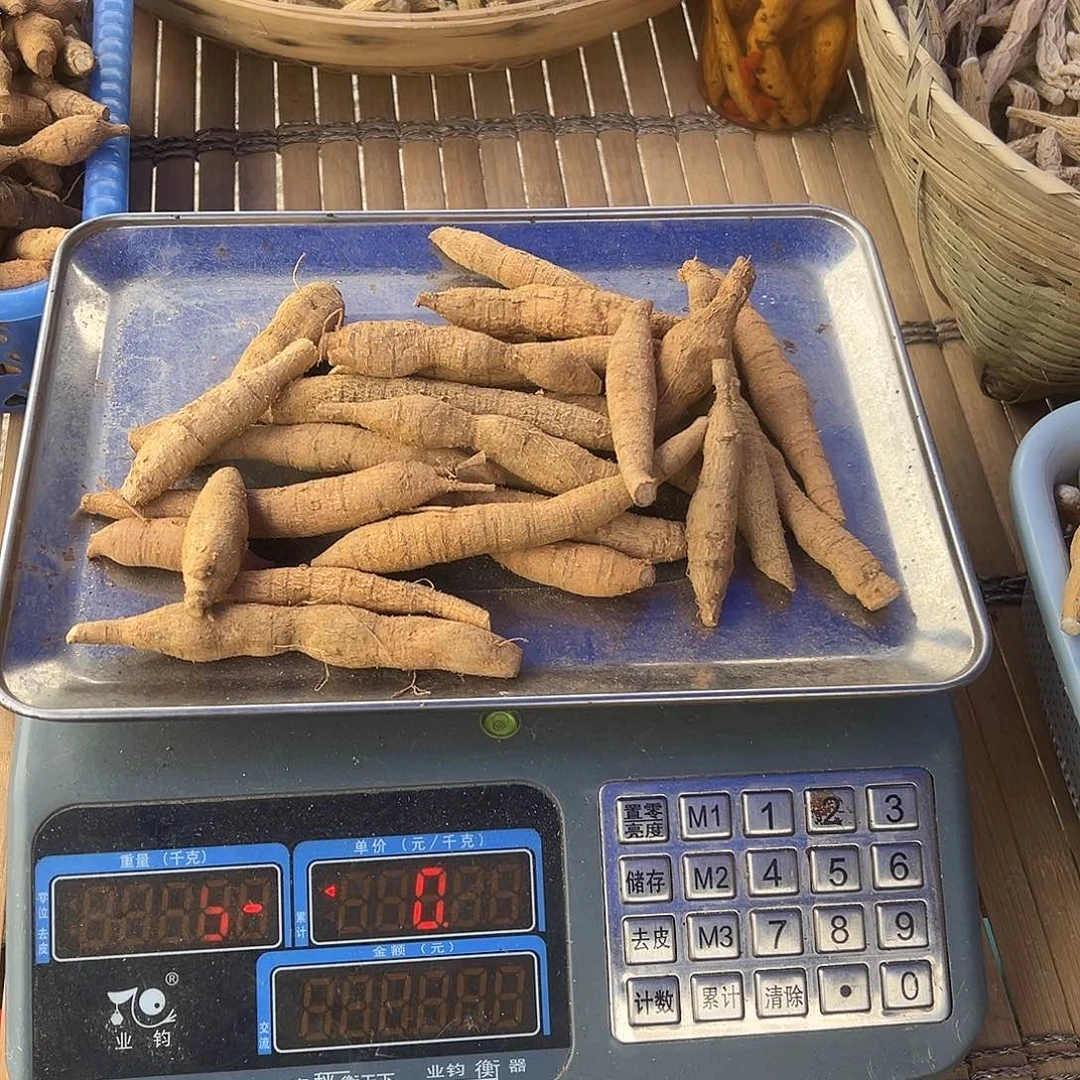 中国大陆黄牛煲汤泡酒甘甜