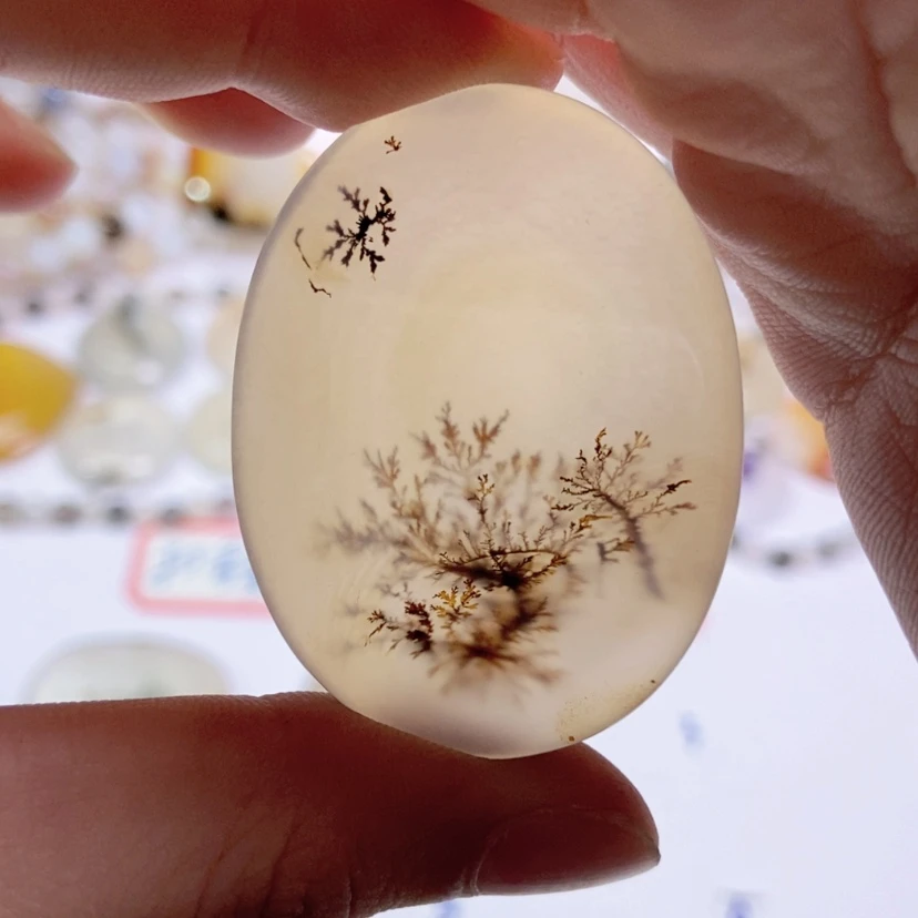 【闪购商品】玛瑙/玉髓颈饰未镶嵌
