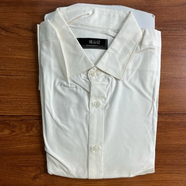 3930FHW1男士商务休闲衬衫 21号箱