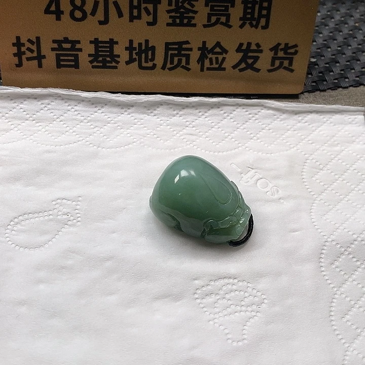 颈饰未镶嵌和田玉貔貅