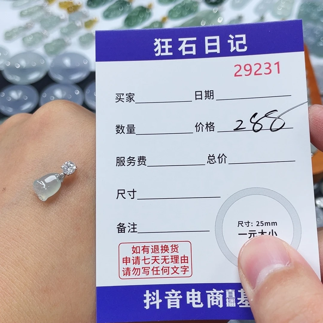 木***-翡翠18K金镶嵌颈饰
