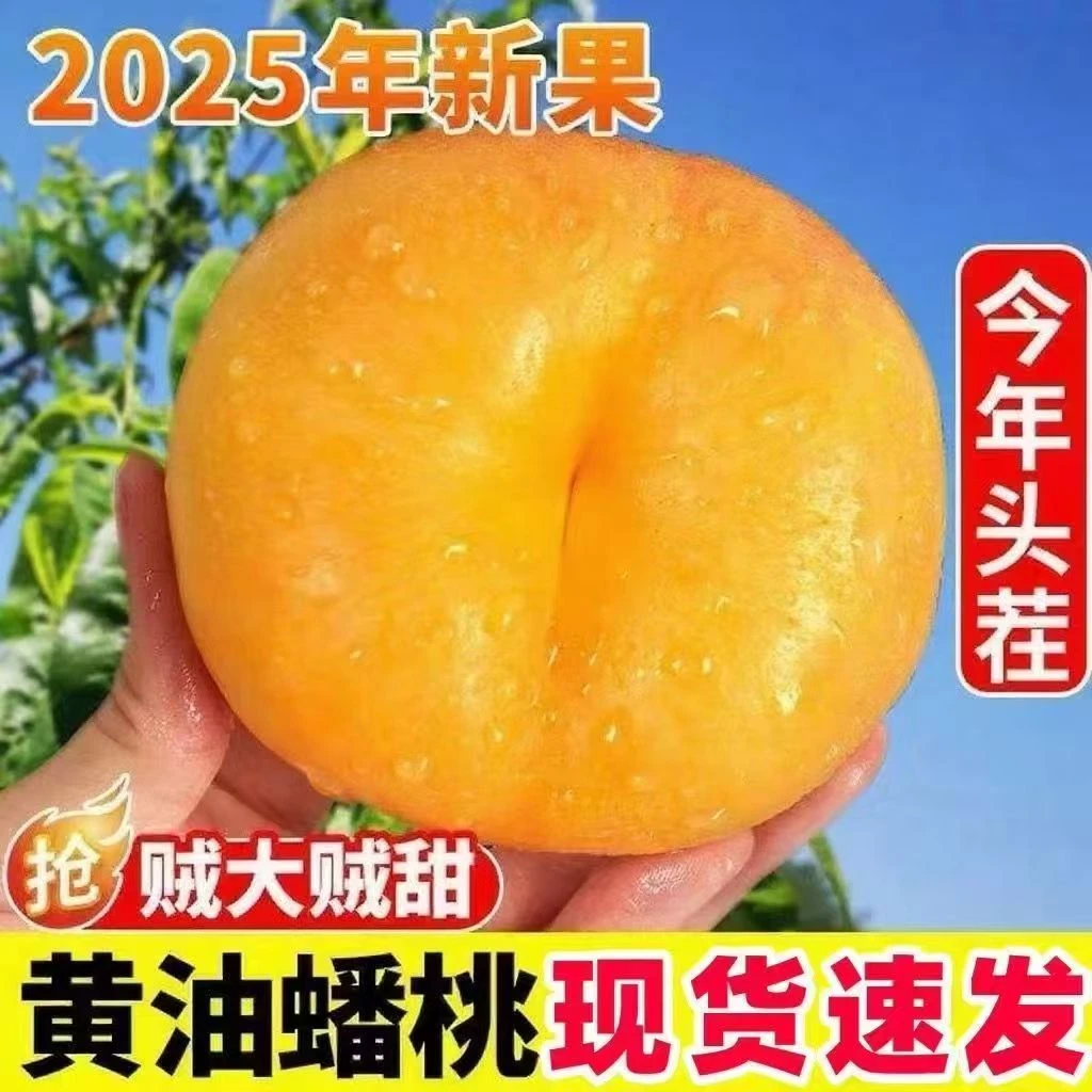陕西彩虹奶油油蟠桃新鲜应季水果甜嫩多汁皮薄批发现摘黄桃