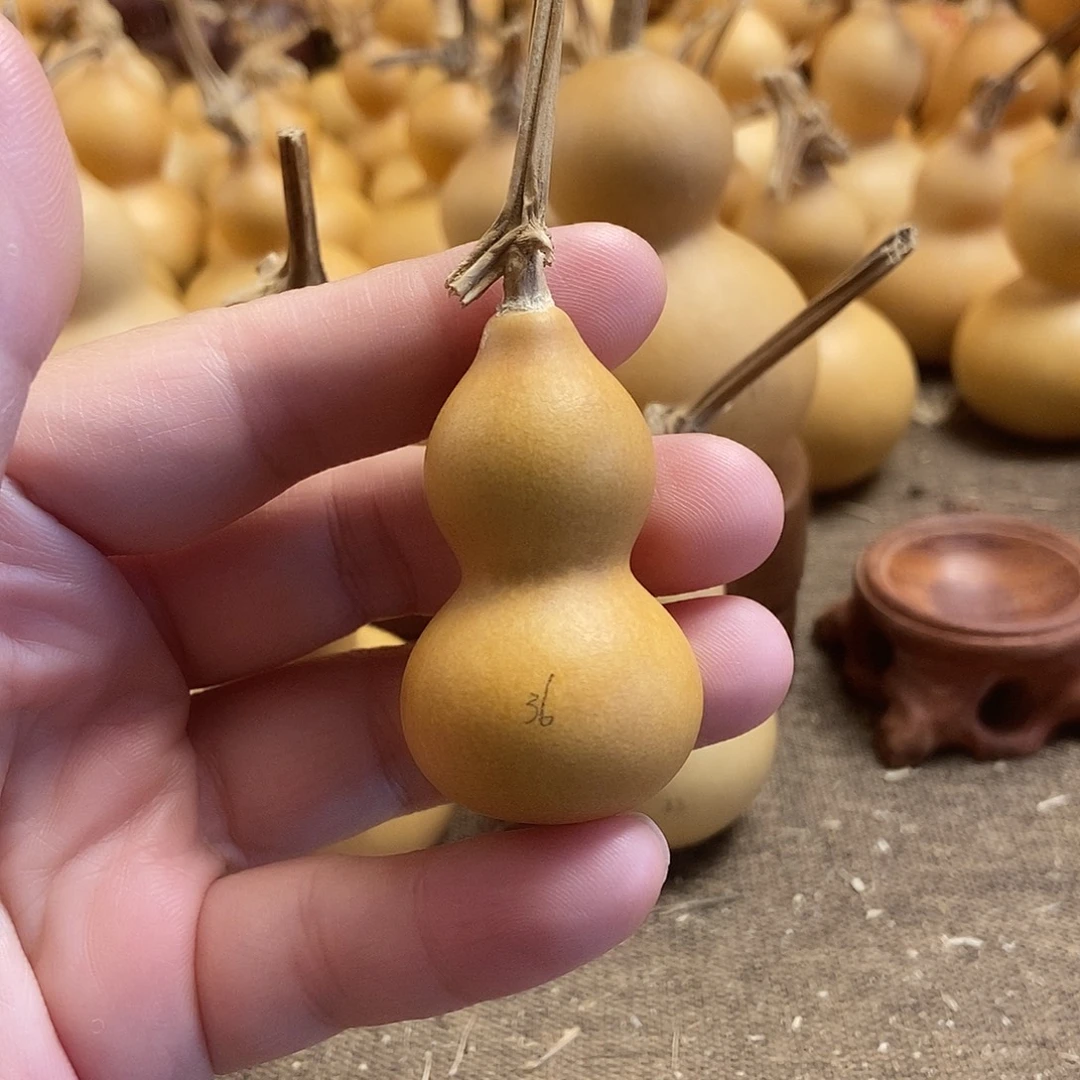 文玩葫芦 完美主义者 慎拍36