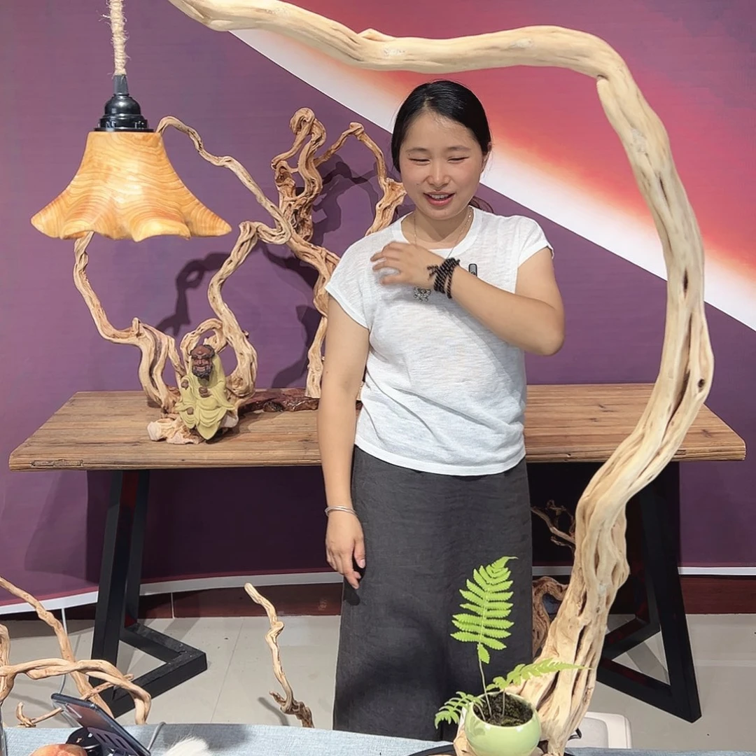 A***J天然杜鹃根根艺摆件