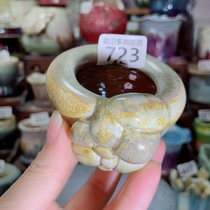 狼盆内口径5高度6