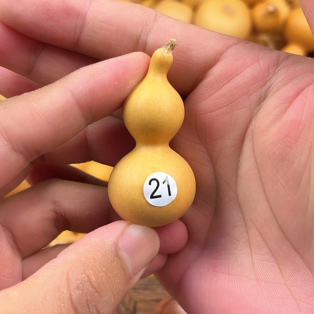 二葫芦葫芦葫芦葫芦21