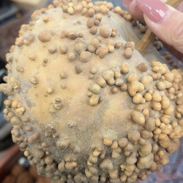 纪*才依然古玩茶具摆件