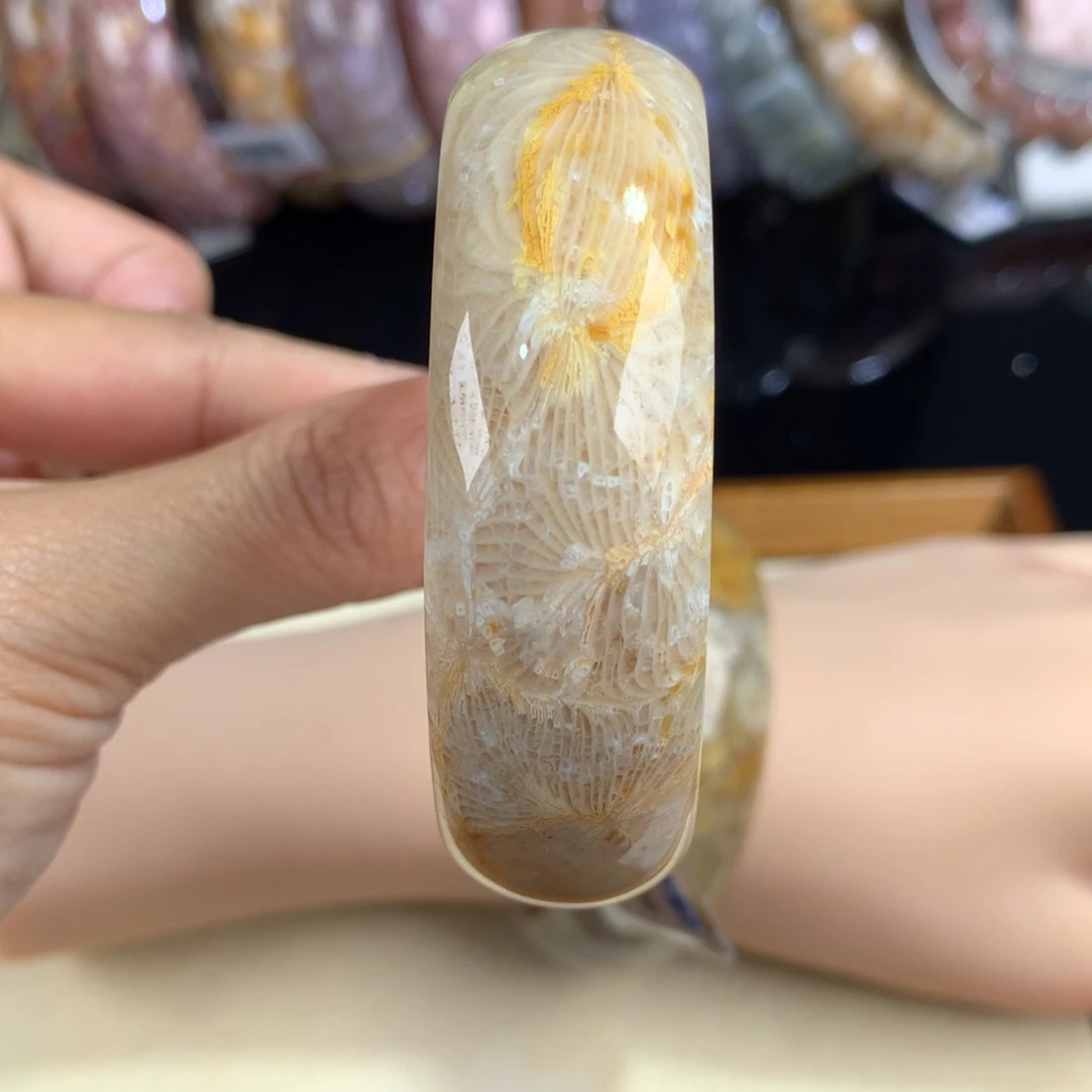 硅化珊瑚（珊瑚玉）未镶嵌吊坠(赠链)19号57圈口