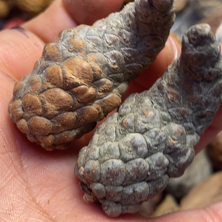 文玩核桃吊坠东北特产24