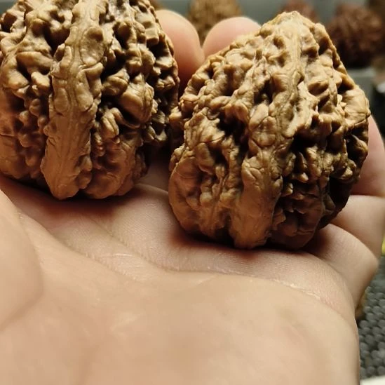 文玩核桃吊坠大楸核桃15号