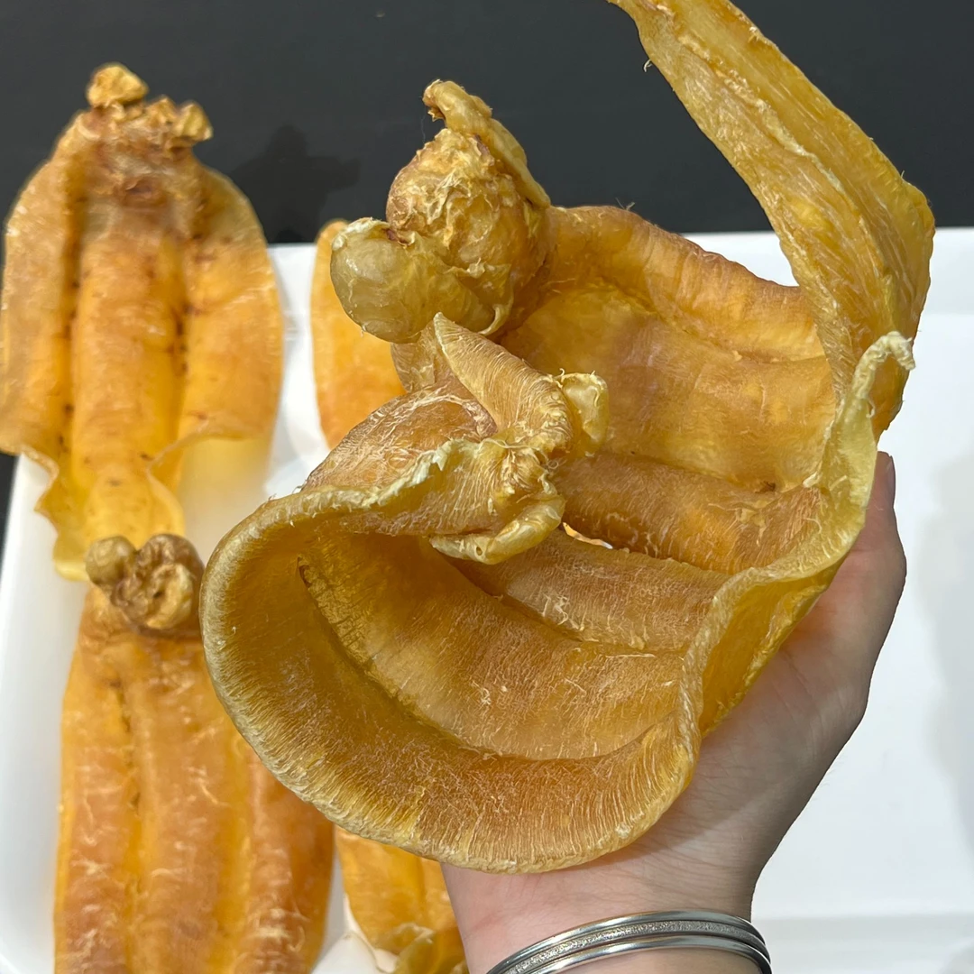 鱼胶 花胶 深海鱼胶滋补品
