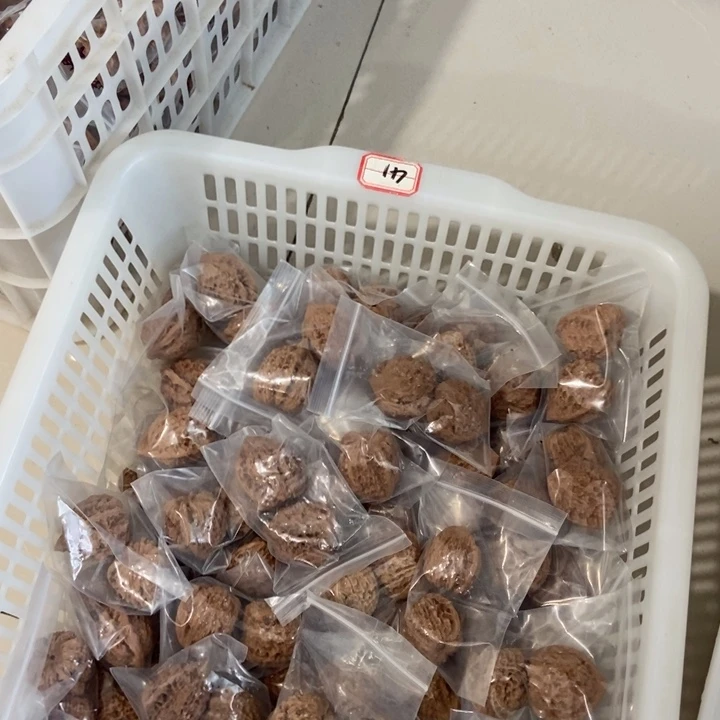 吊坠文玩核桃官帽