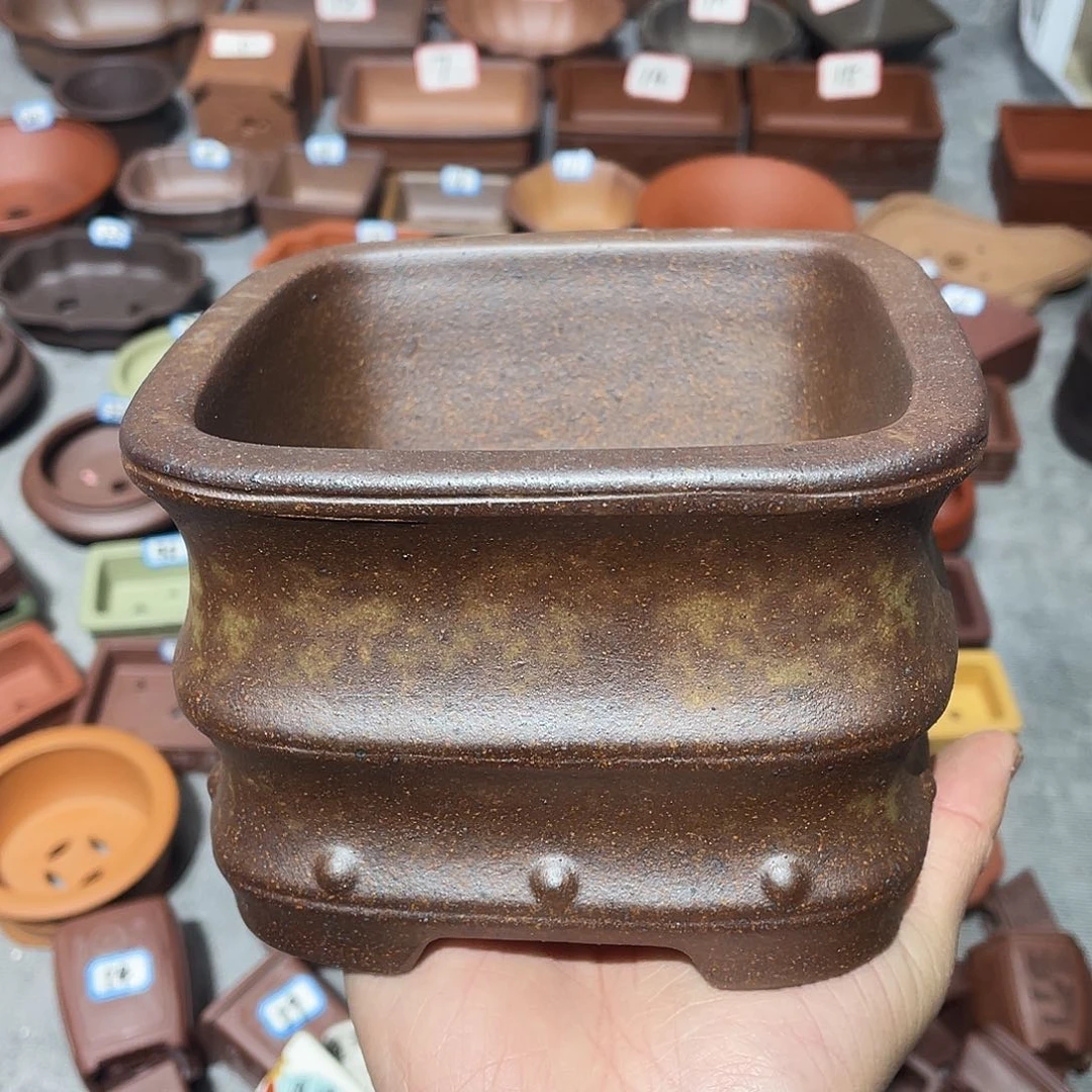 紫砂紫砂小盆12*8