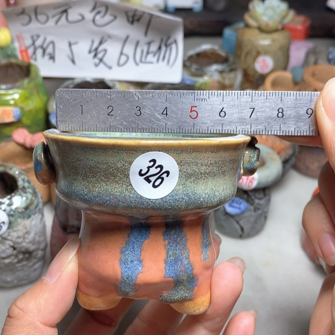 拍5送一个小礼物