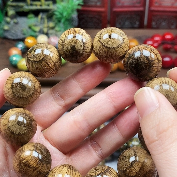 ***宝手串/手链藤类买麻藤