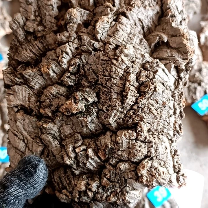 木一物一拍一物一发