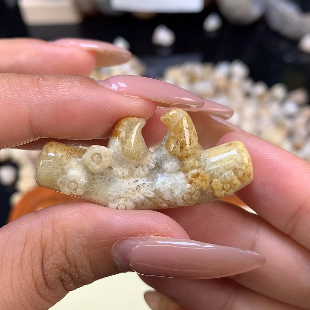 【闪购商品】颈饰未镶嵌硅化珊瑚（珊瑚玉）我***肉