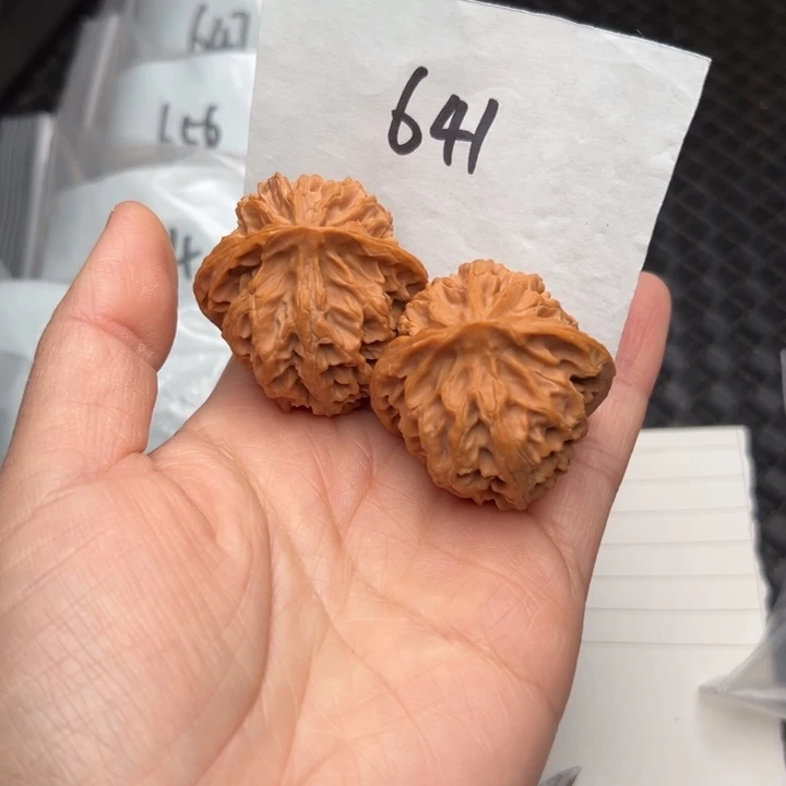 核桃40尺寸苹果园