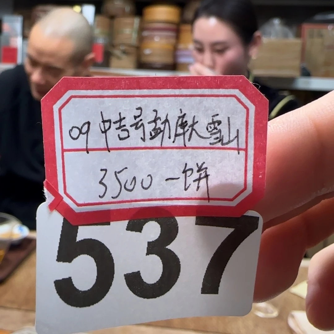紫砂茶壶537………………………………