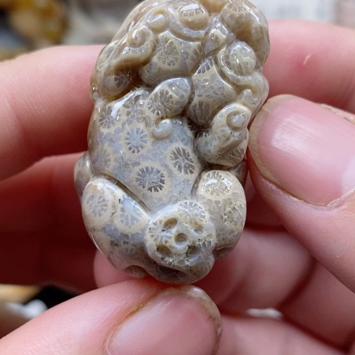 颈饰未镶嵌硅化珊瑚（珊瑚玉）