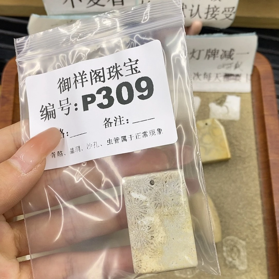 硅化珊瑚（珊瑚玉）未镶嵌颈饰潇**绽