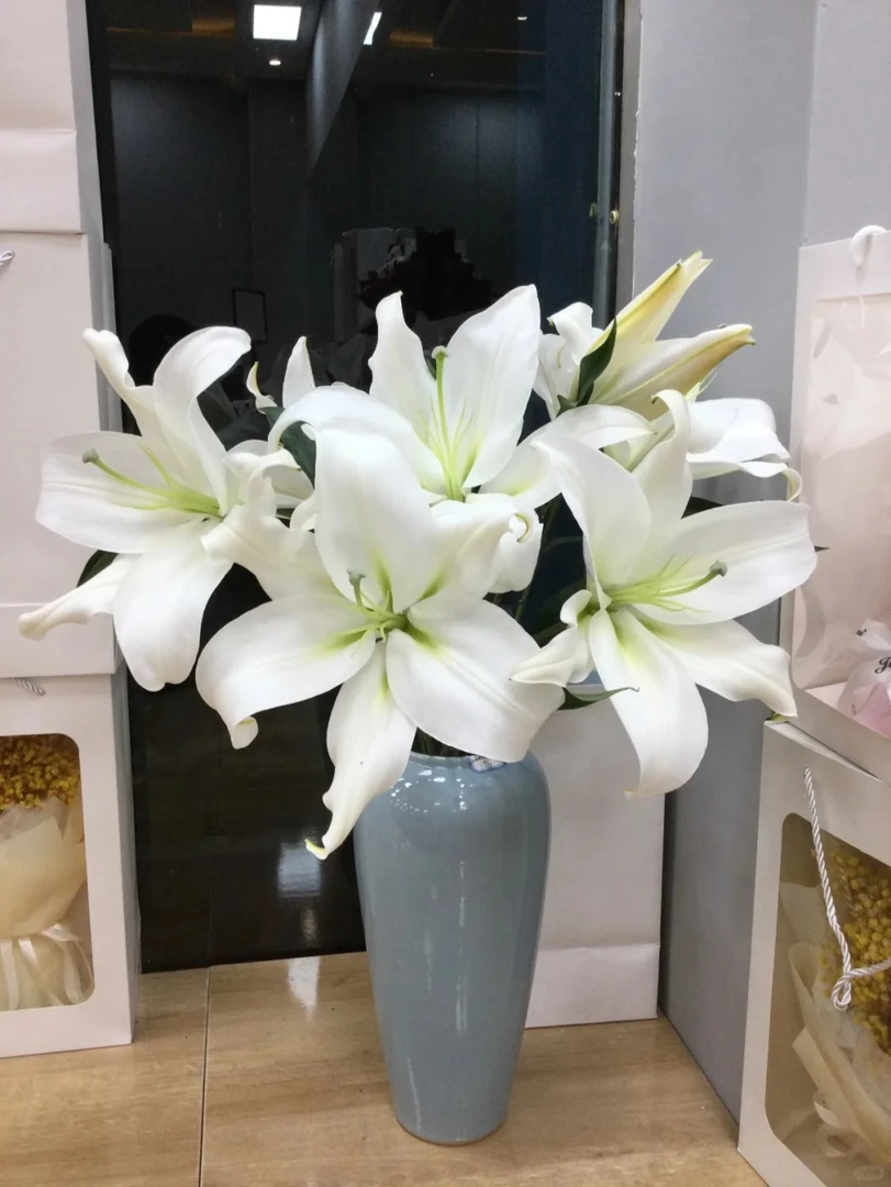 【赞比西】香水百合 一单包邮 云南鲜花昆明基地现采现发