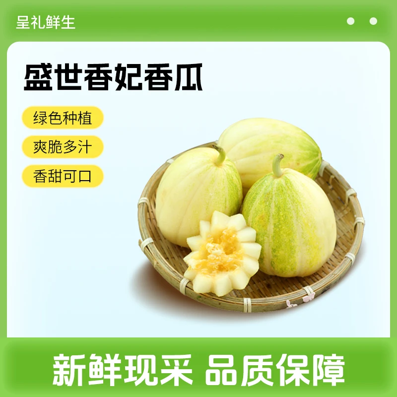 （现摘现发）东北香瓜头茬主根香瓜东北瓜