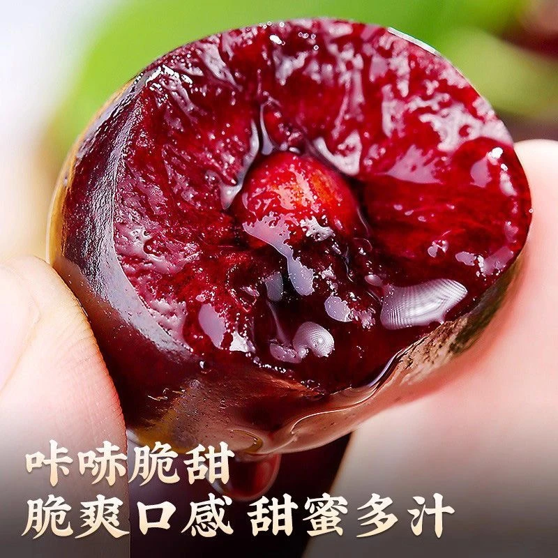 2JDD-3JDD-4JDD特大果【明天到】智利空运车厘子新鲜宝宝孕妇DS1内附果径卡800g桑提娜樱桃桑提娜樱桃