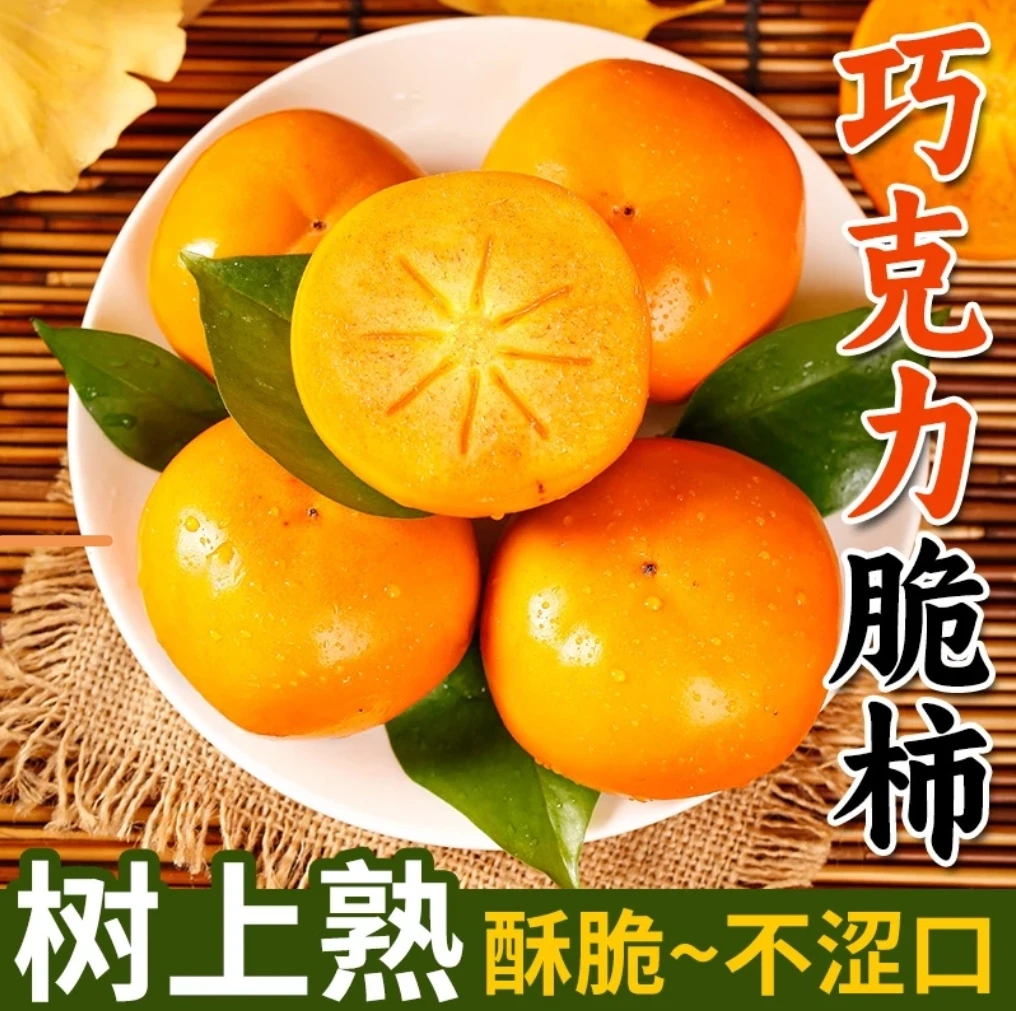 A阳丰巧克力脆柿子新鲜水果当季甜脆硬柿子多仓发货